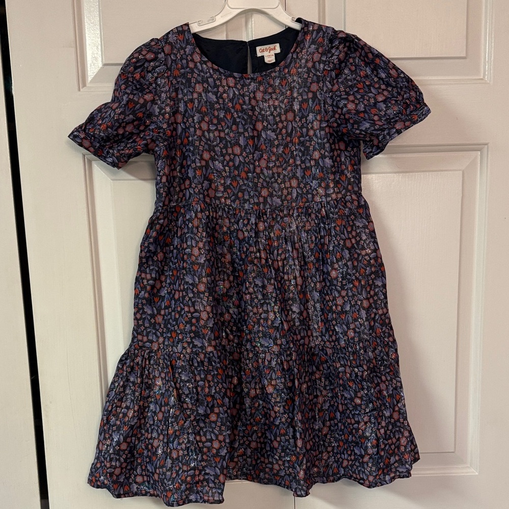 Cat & Jack Kids Dress in Blue and Pink